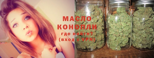 дмт Гатчина
