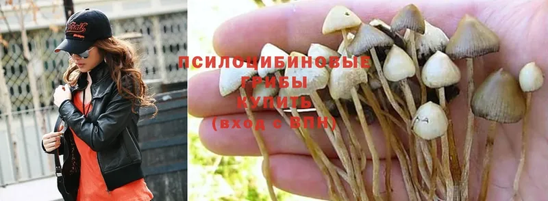 Галлюциногенные грибы MAGIC MUSHROOMS  mega сайт  Багратионовск 